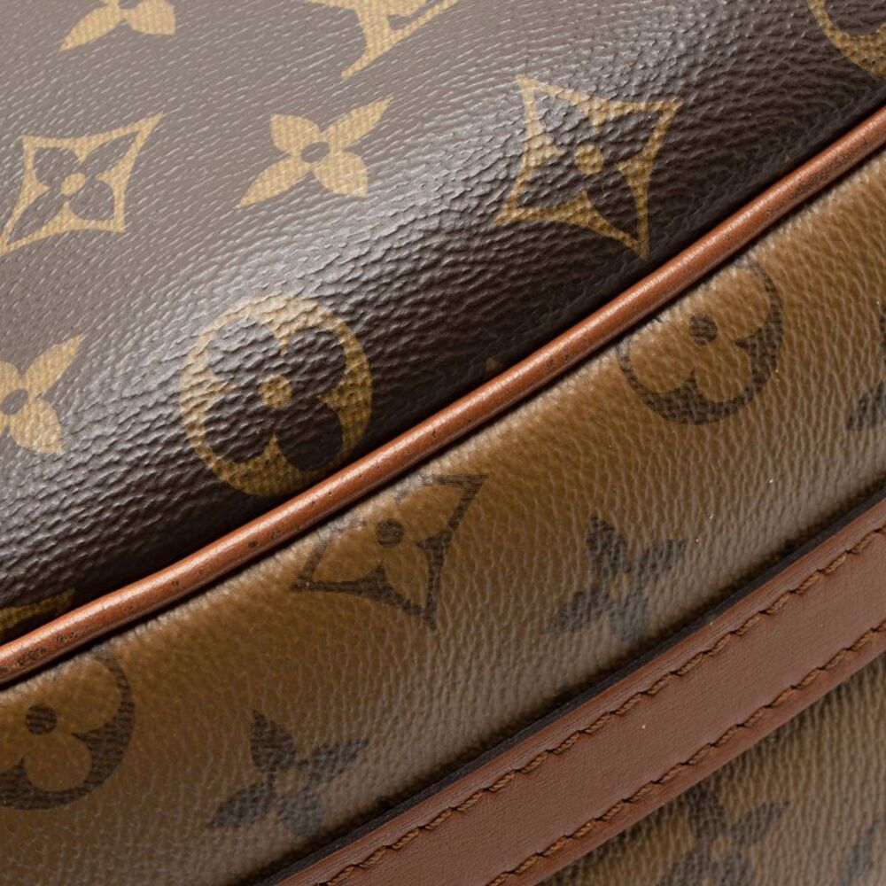 Louis Vuitton Monogram Canvas Loop Hobo - Picture 10 of 13